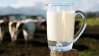 mlekarska industrija