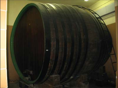 proizvodnja vina